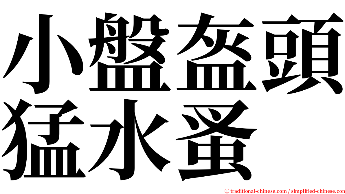 小盤盔頭猛水蚤 serif font