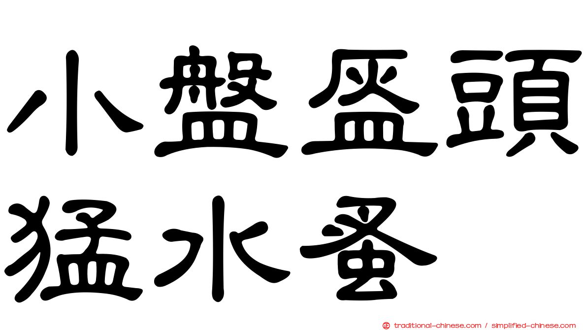 小盤盔頭猛水蚤