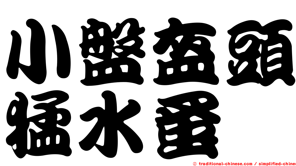 小盤盔頭猛水蚤