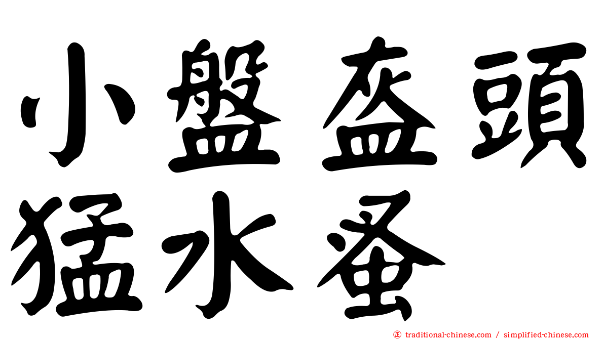 小盤盔頭猛水蚤