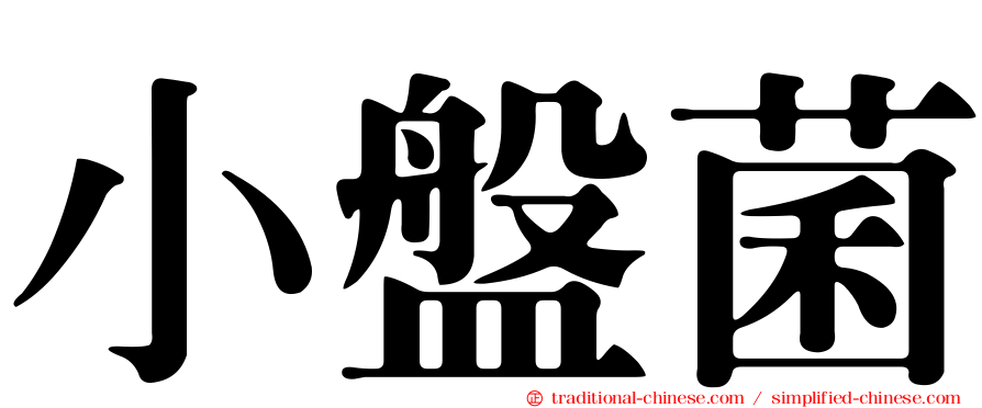 小盤菌