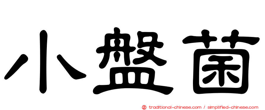 小盤菌