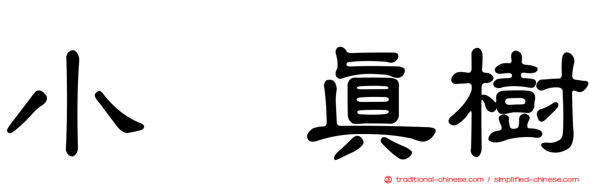 小県真樹