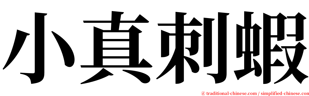 小真刺蝦 serif font