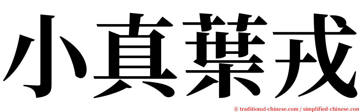 小真葉戎 serif font
