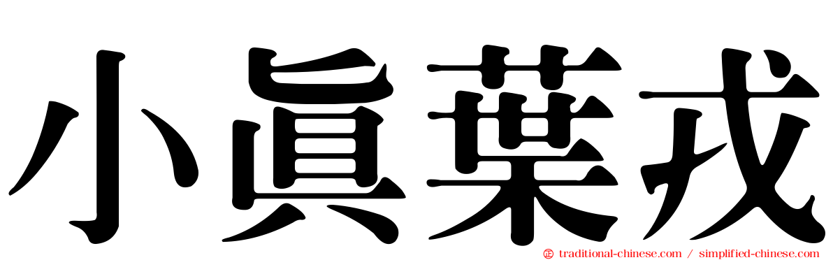 小真葉戎