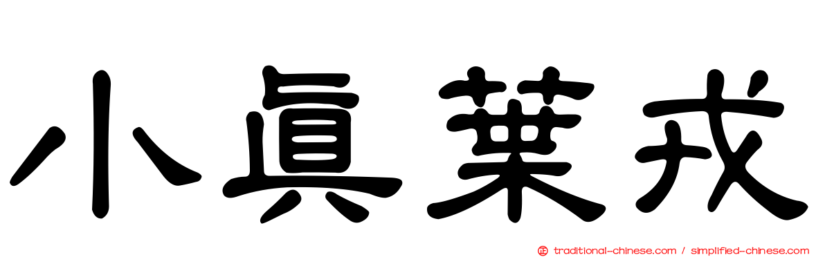 小真葉戎