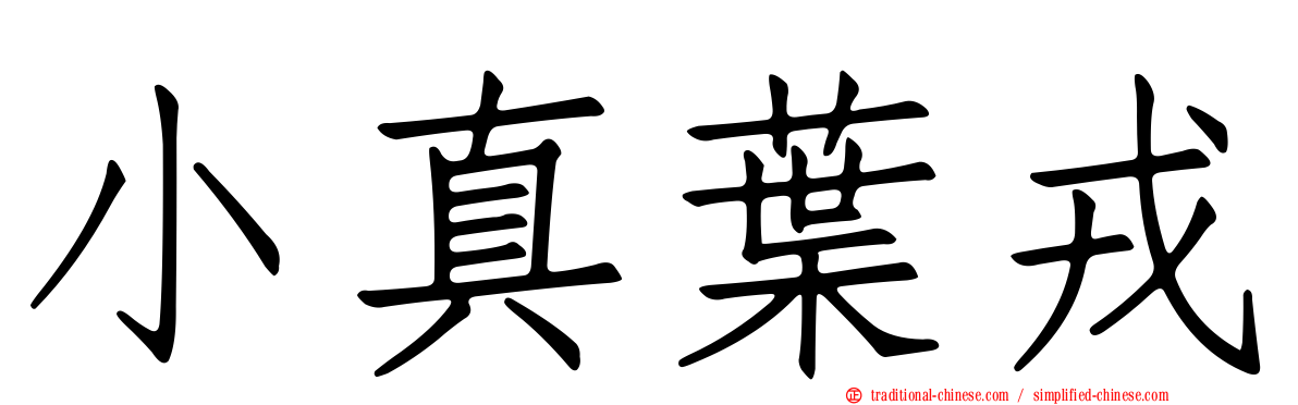小真葉戎