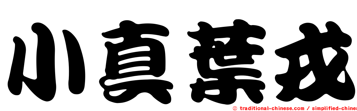 小真葉戎