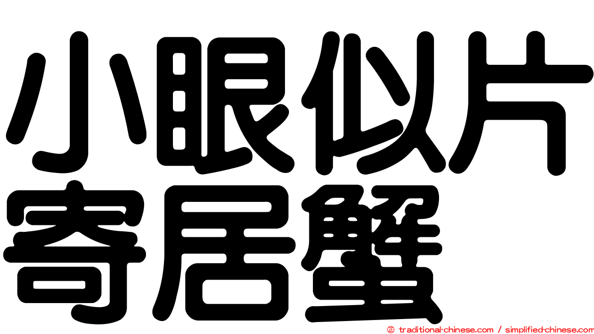 小眼似片寄居蟹