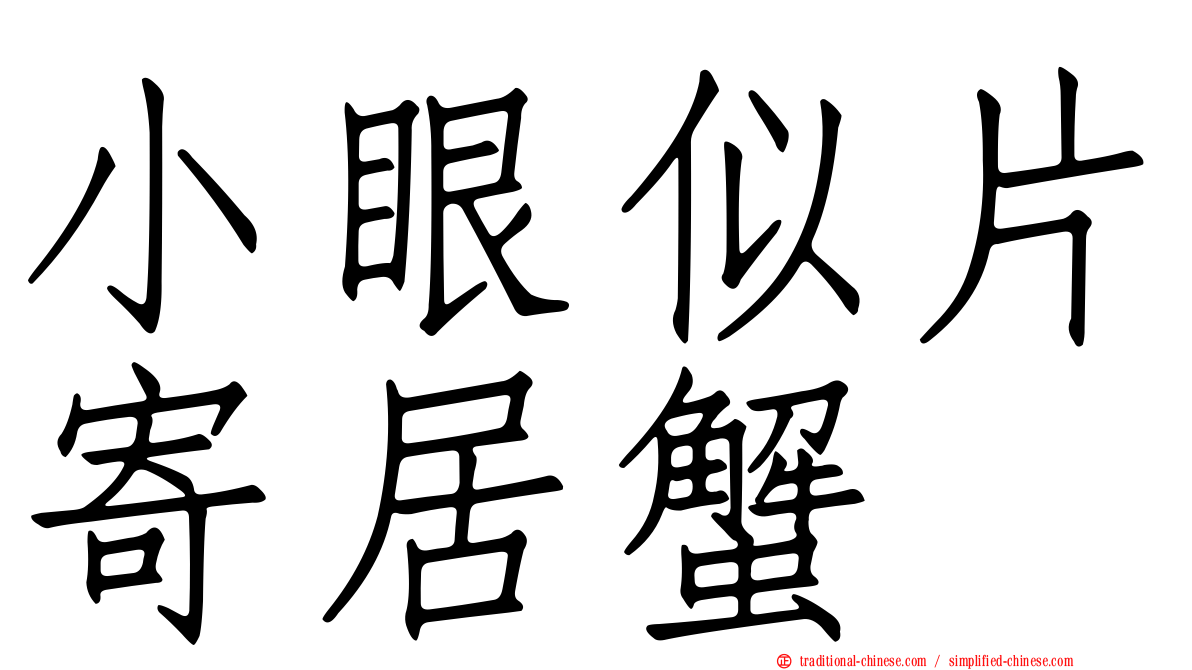小眼似片寄居蟹