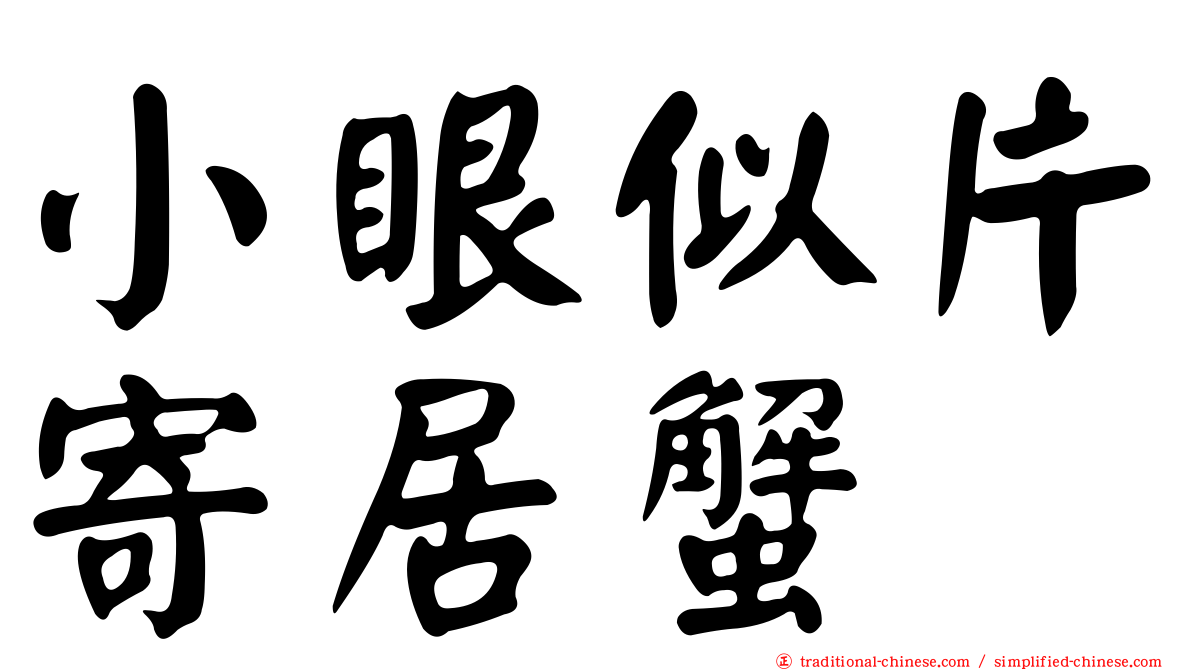 小眼似片寄居蟹