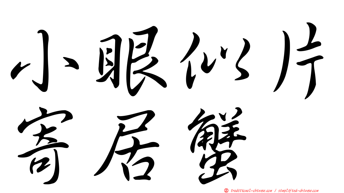 小眼似片寄居蟹