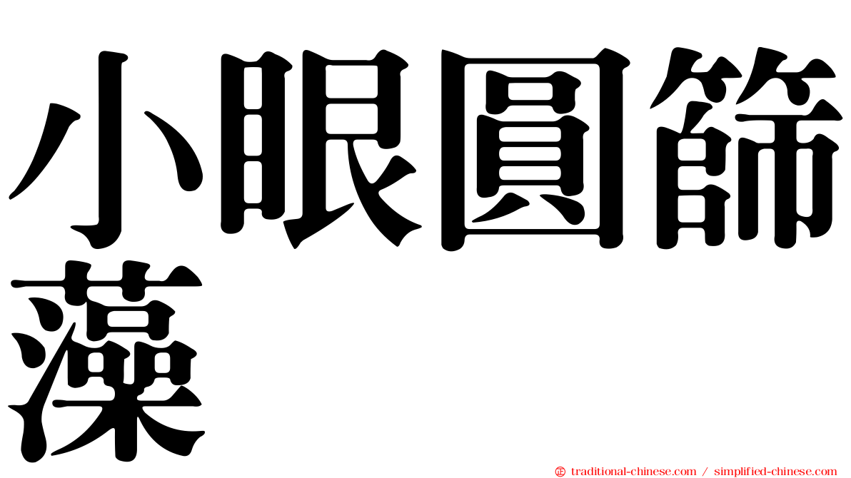 小眼圓篩藻