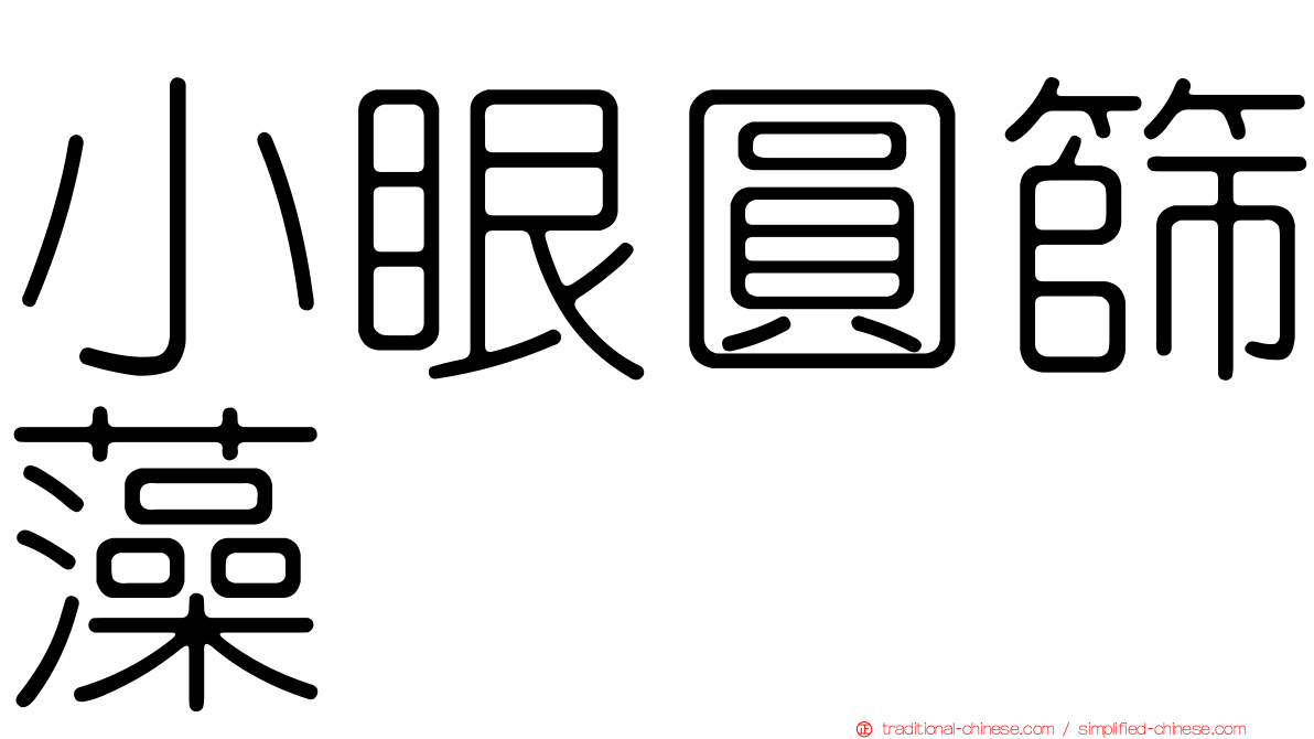 小眼圓篩藻