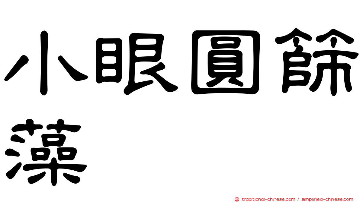 小眼圓篩藻