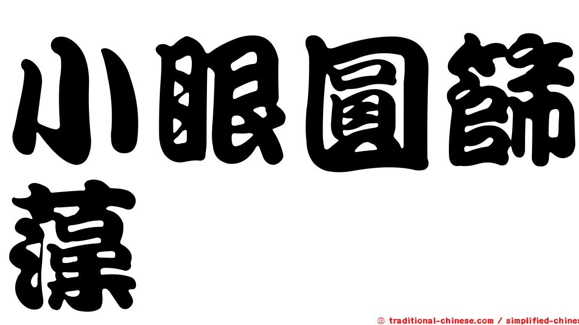 小眼圓篩藻
