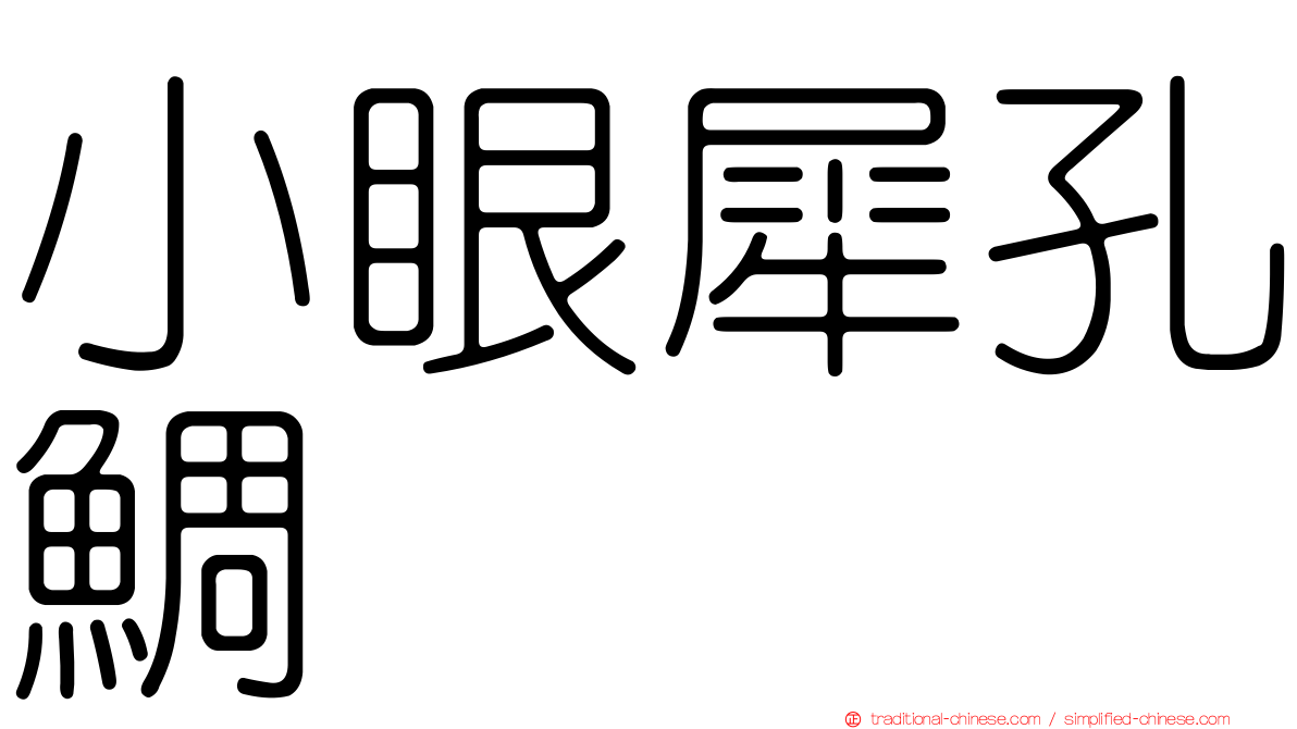 小眼犀孔鯛