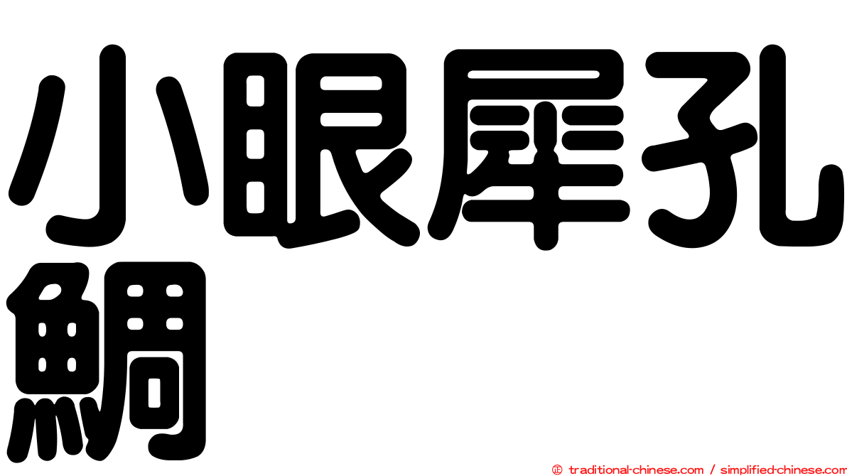 小眼犀孔鯛