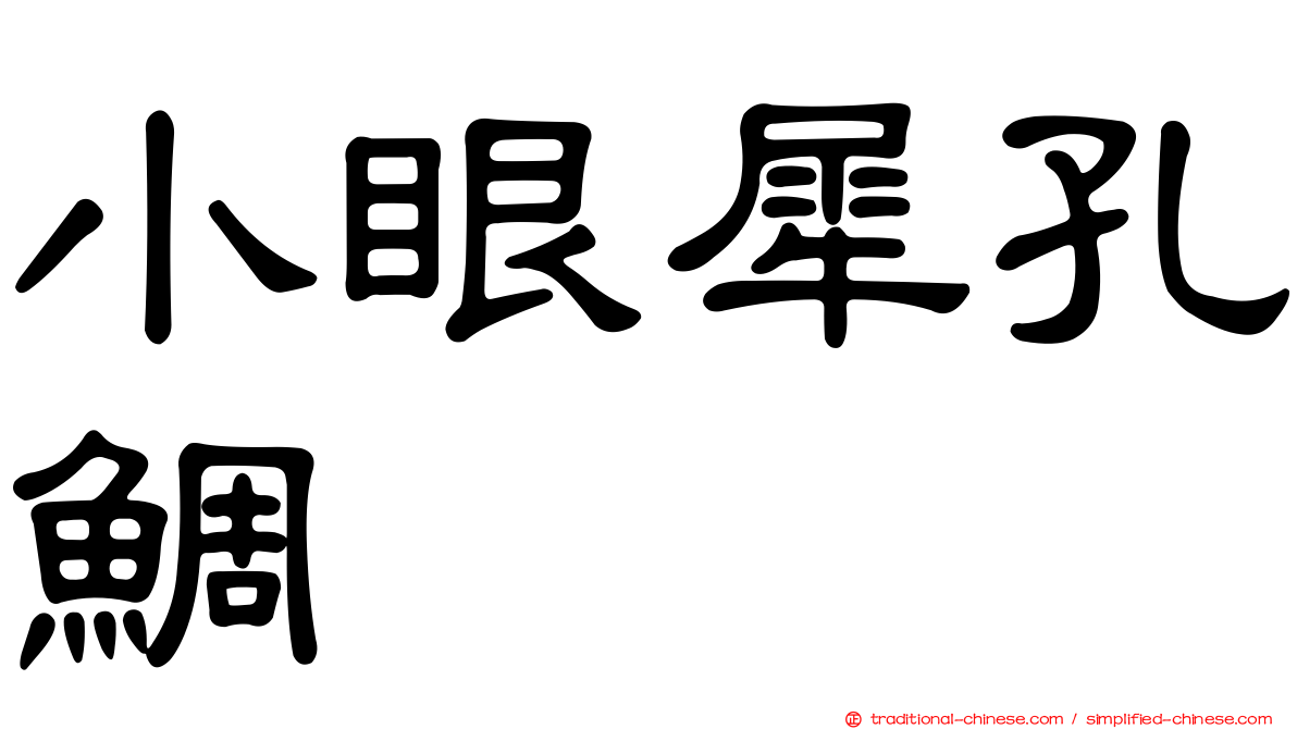 小眼犀孔鯛
