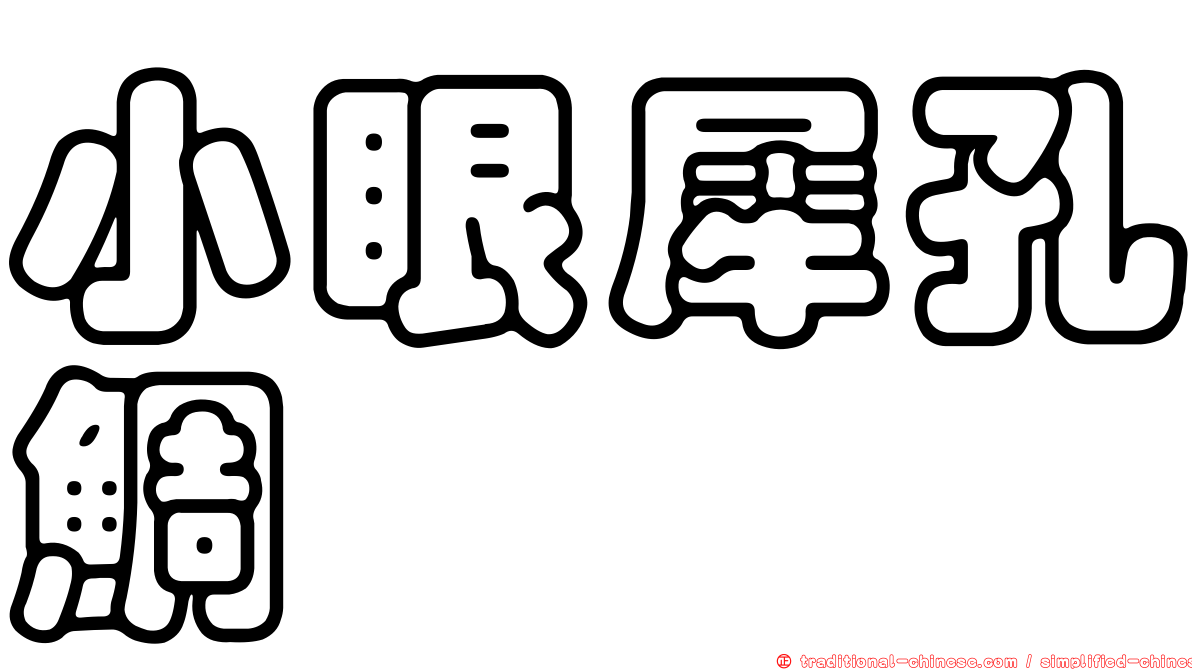 小眼犀孔鯛