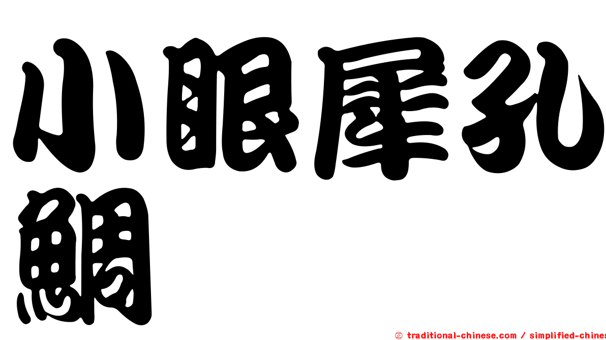 小眼犀孔鯛