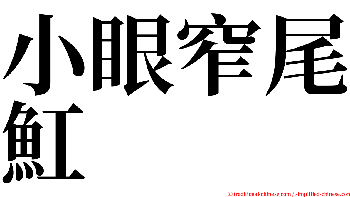 小眼窄尾魟 serif font