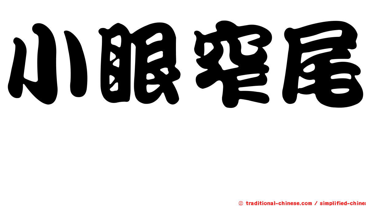 小眼窄尾魟