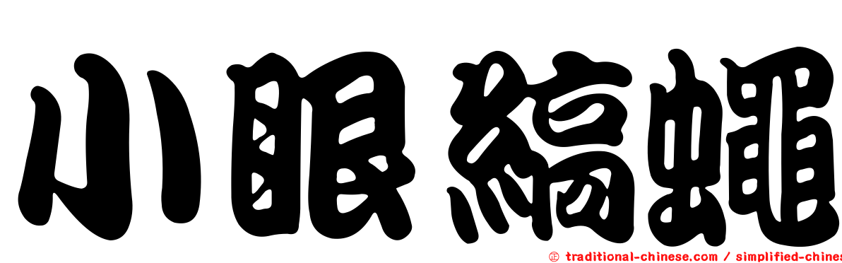 小眼縞蠅