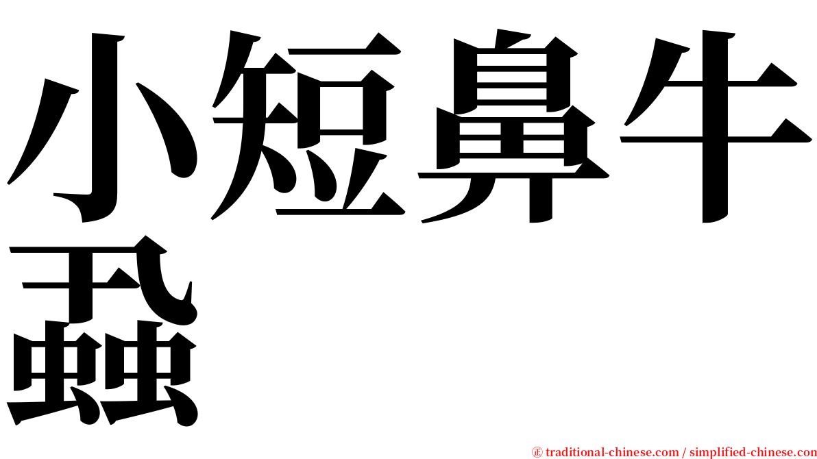 小短鼻牛蝨 serif font