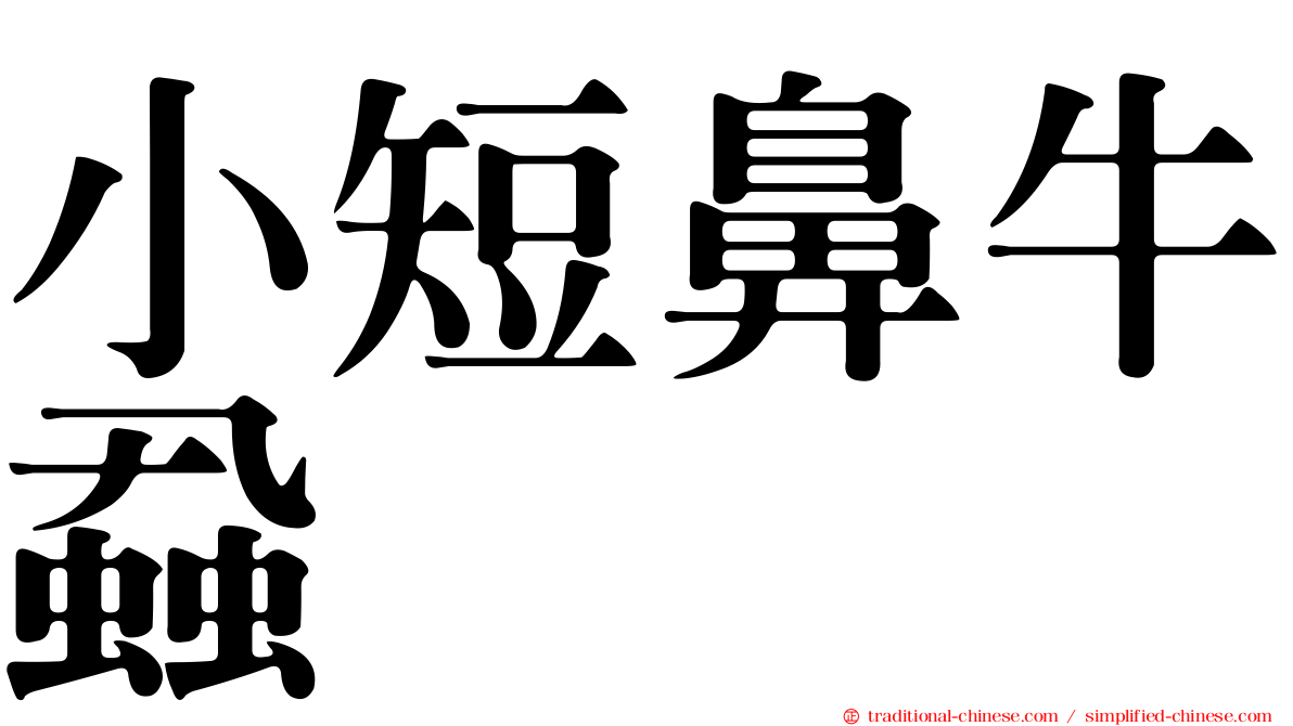 小短鼻牛蝨