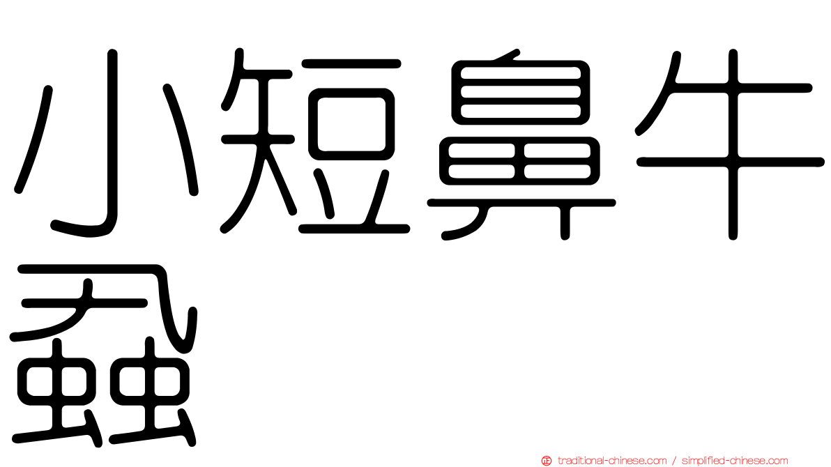 小短鼻牛蝨