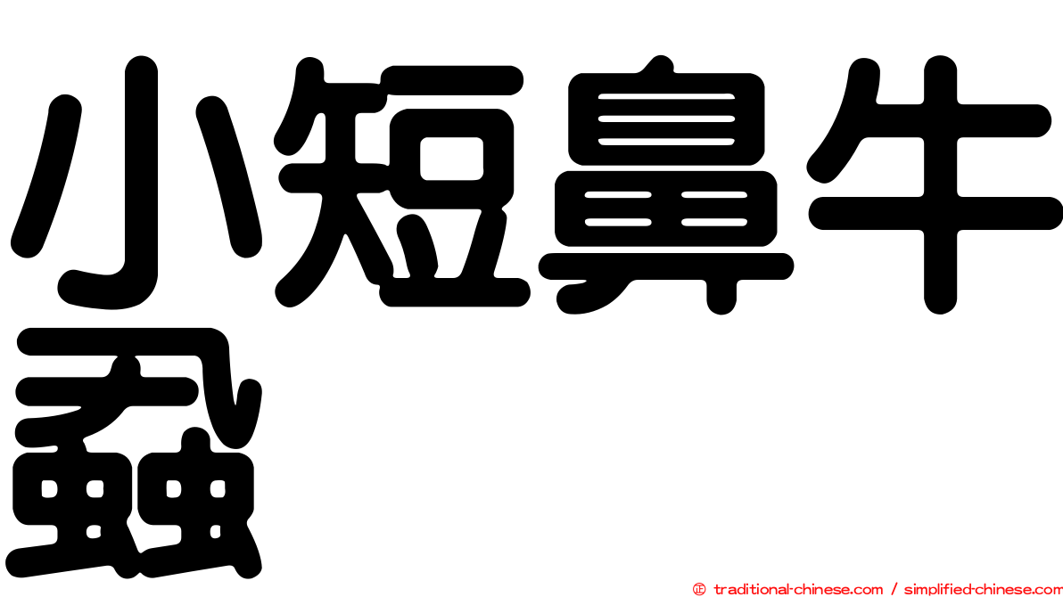 小短鼻牛蝨