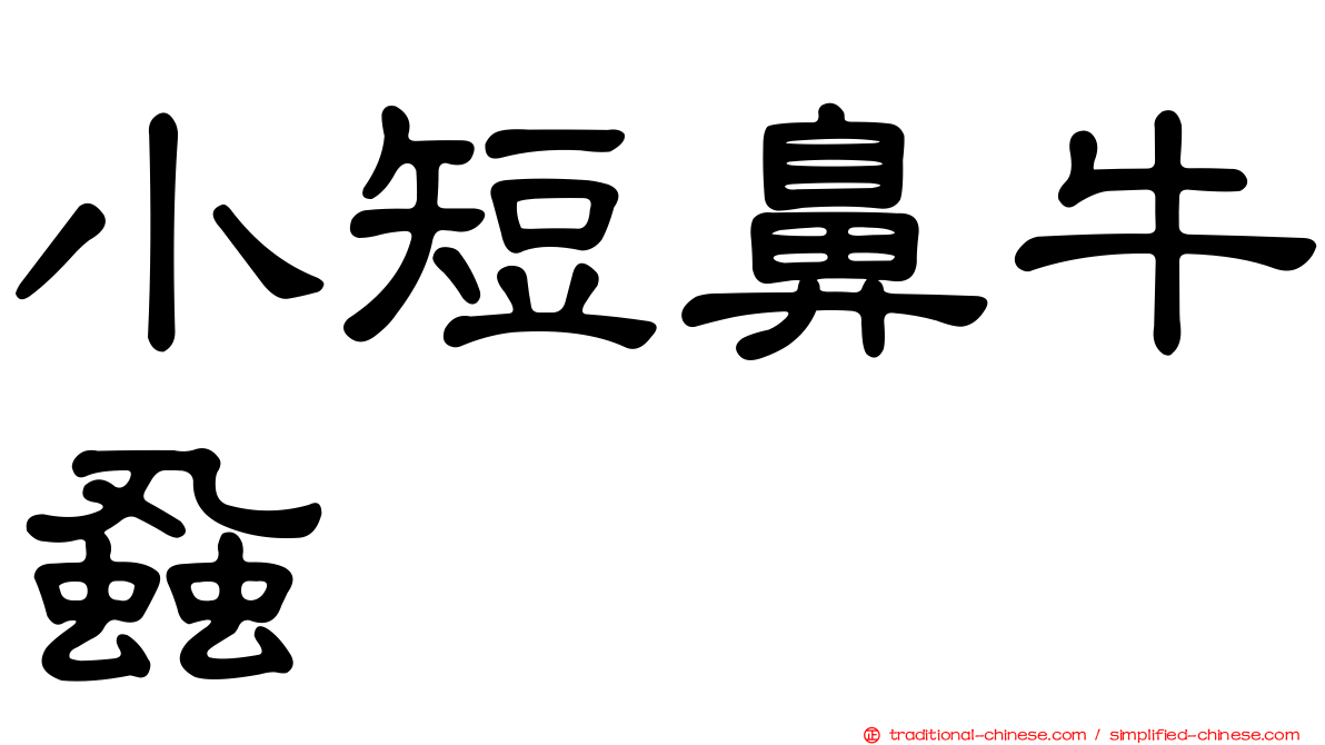 小短鼻牛蝨