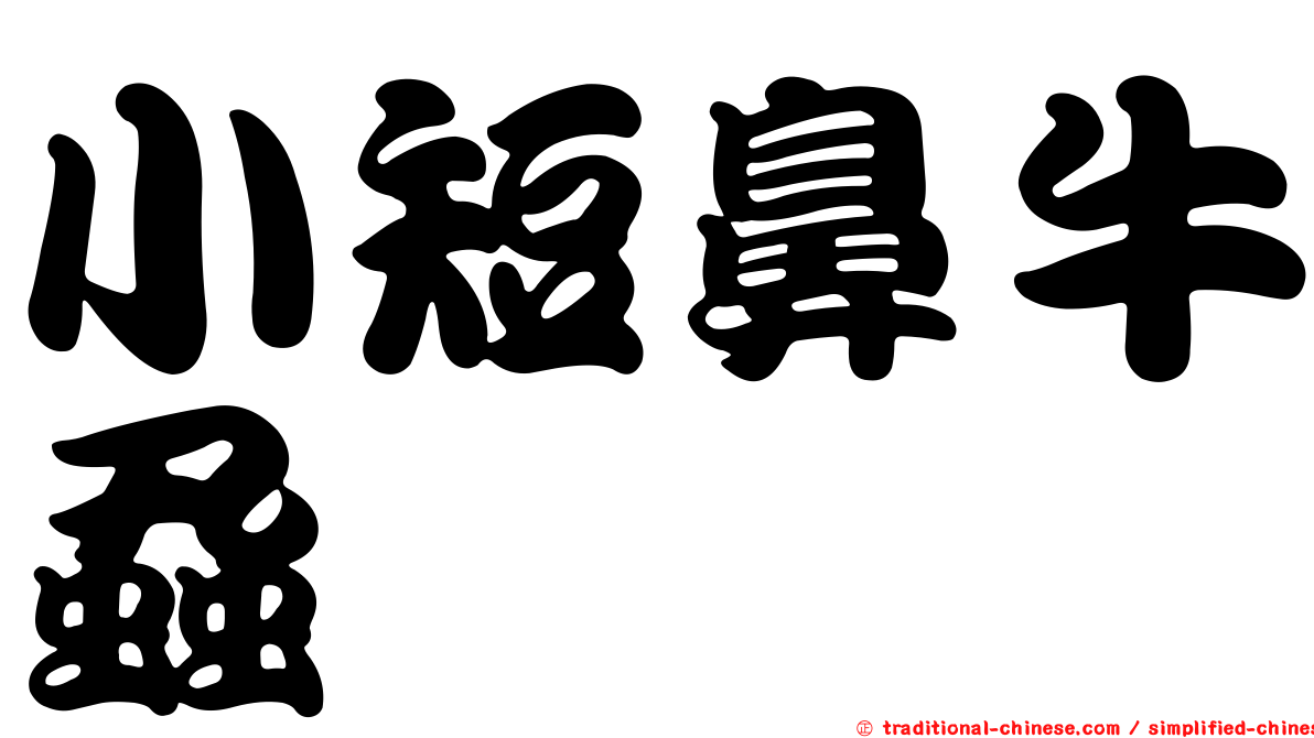 小短鼻牛蝨