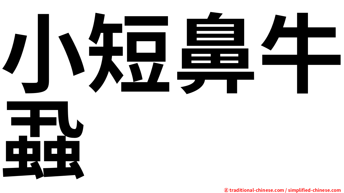 小短鼻牛蝨