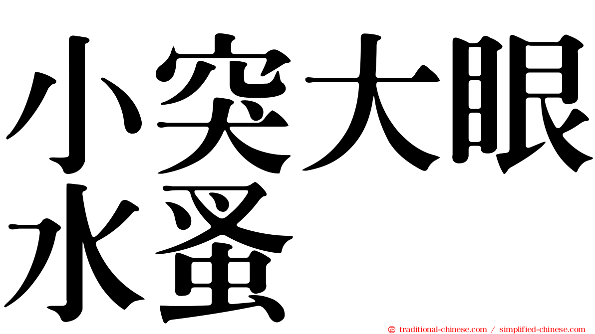 小突大眼水蚤
