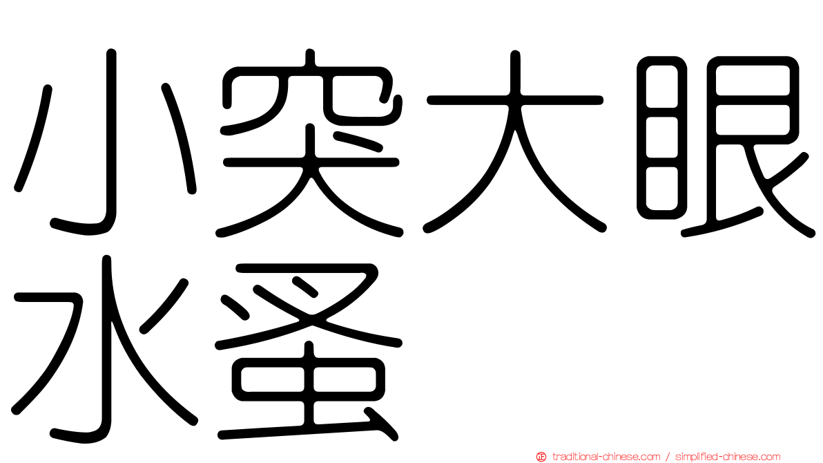 小突大眼水蚤