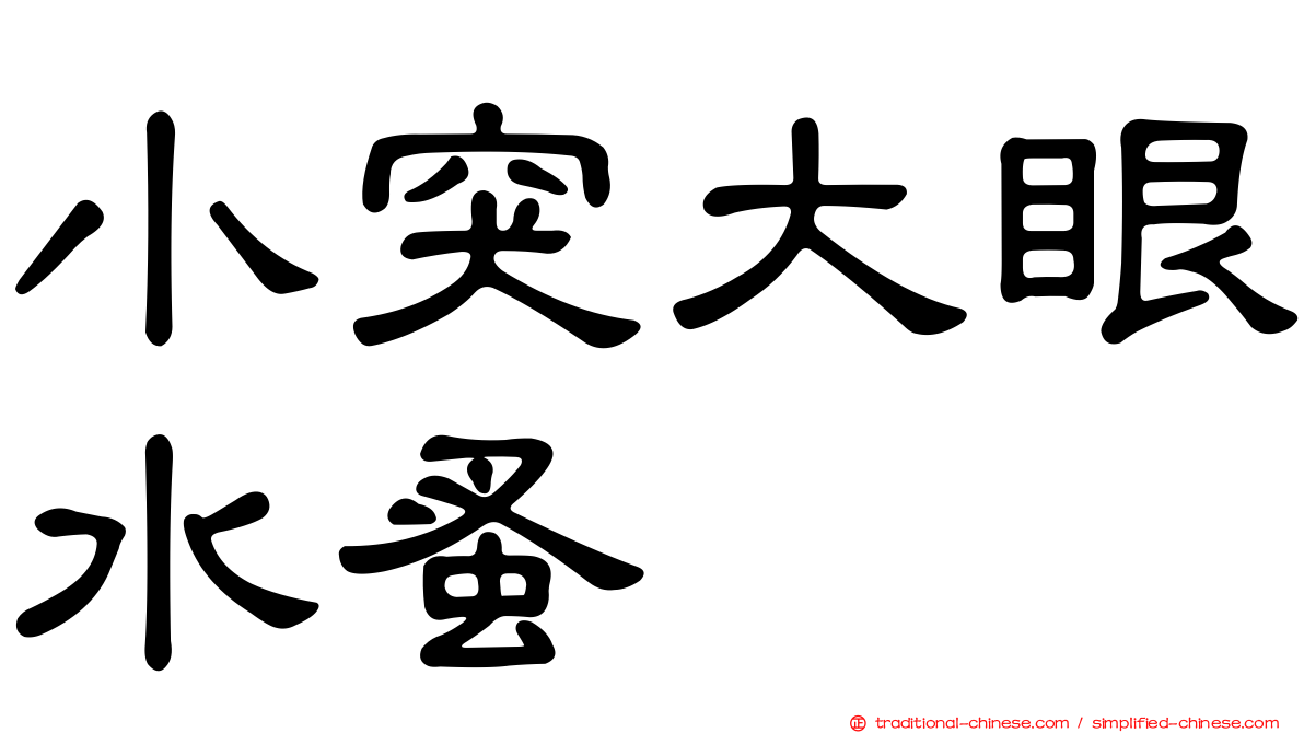 小突大眼水蚤