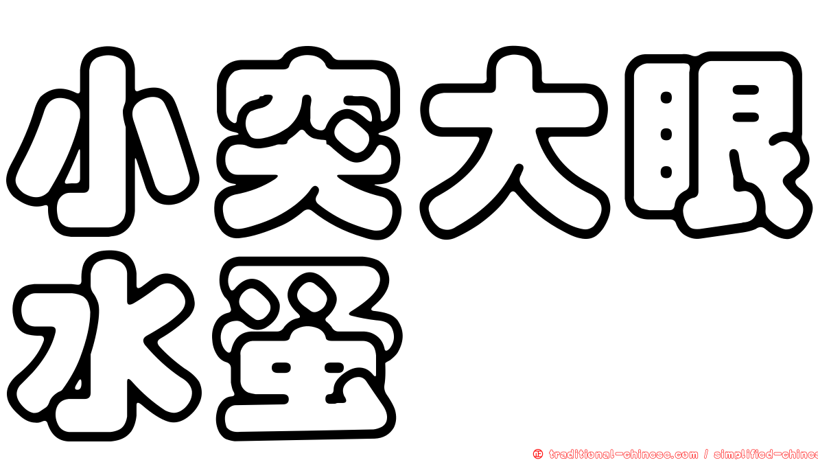 小突大眼水蚤