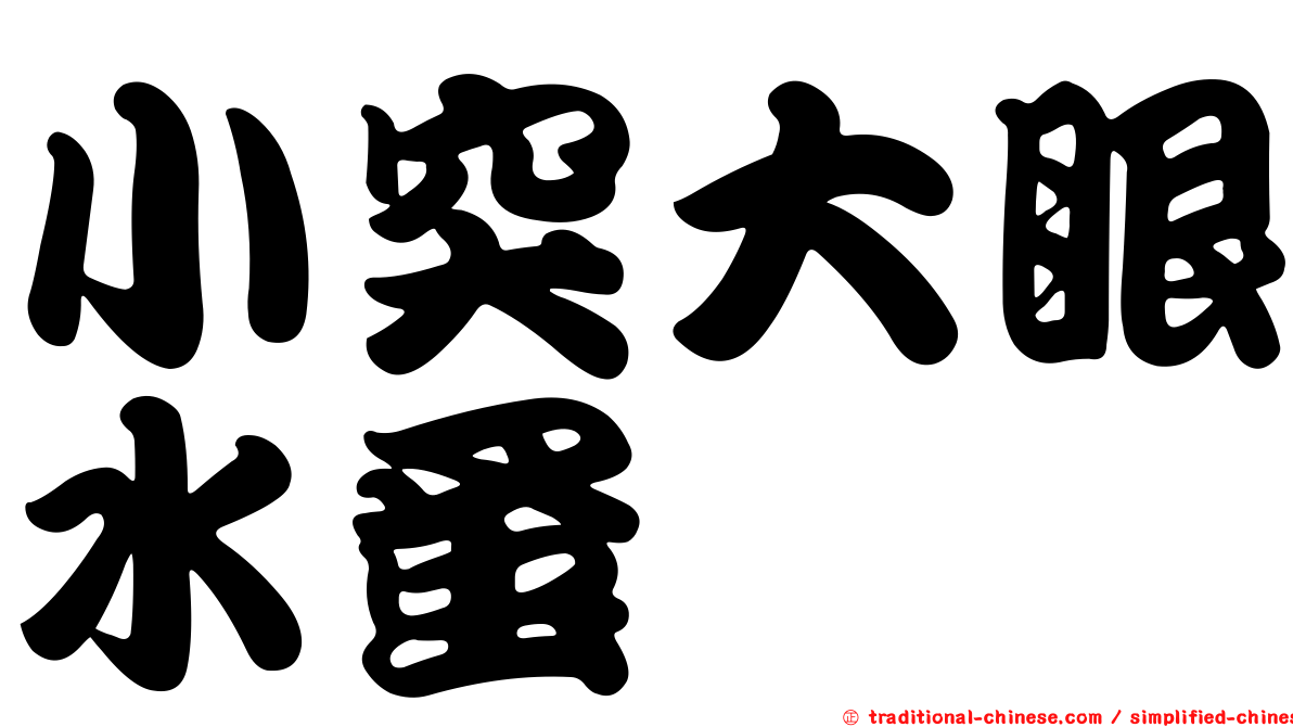 小突大眼水蚤