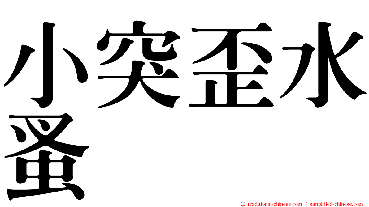 小突歪水蚤