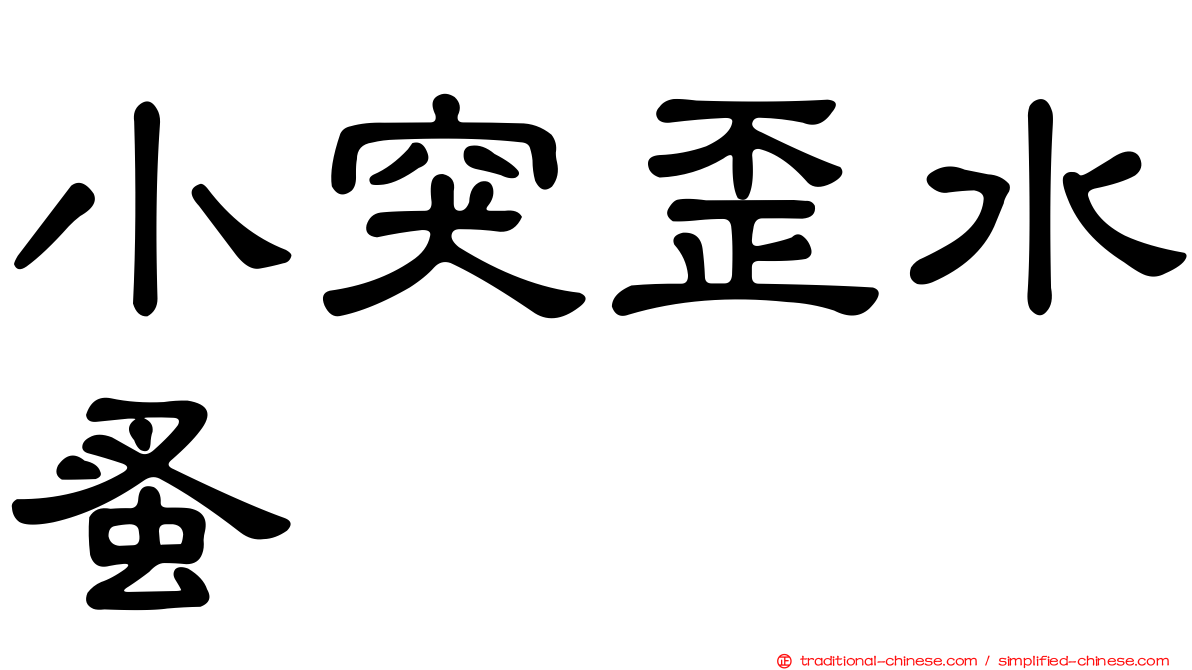 小突歪水蚤