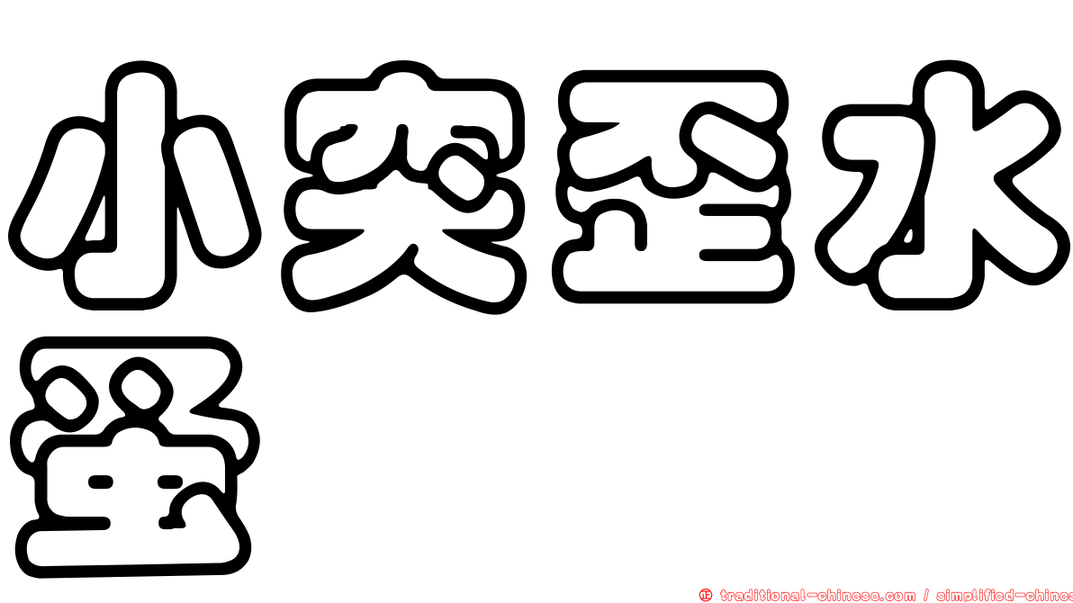 小突歪水蚤