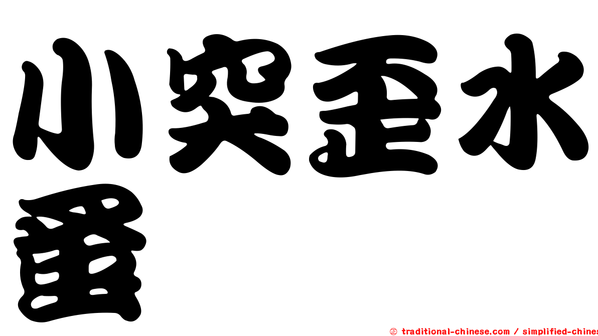 小突歪水蚤