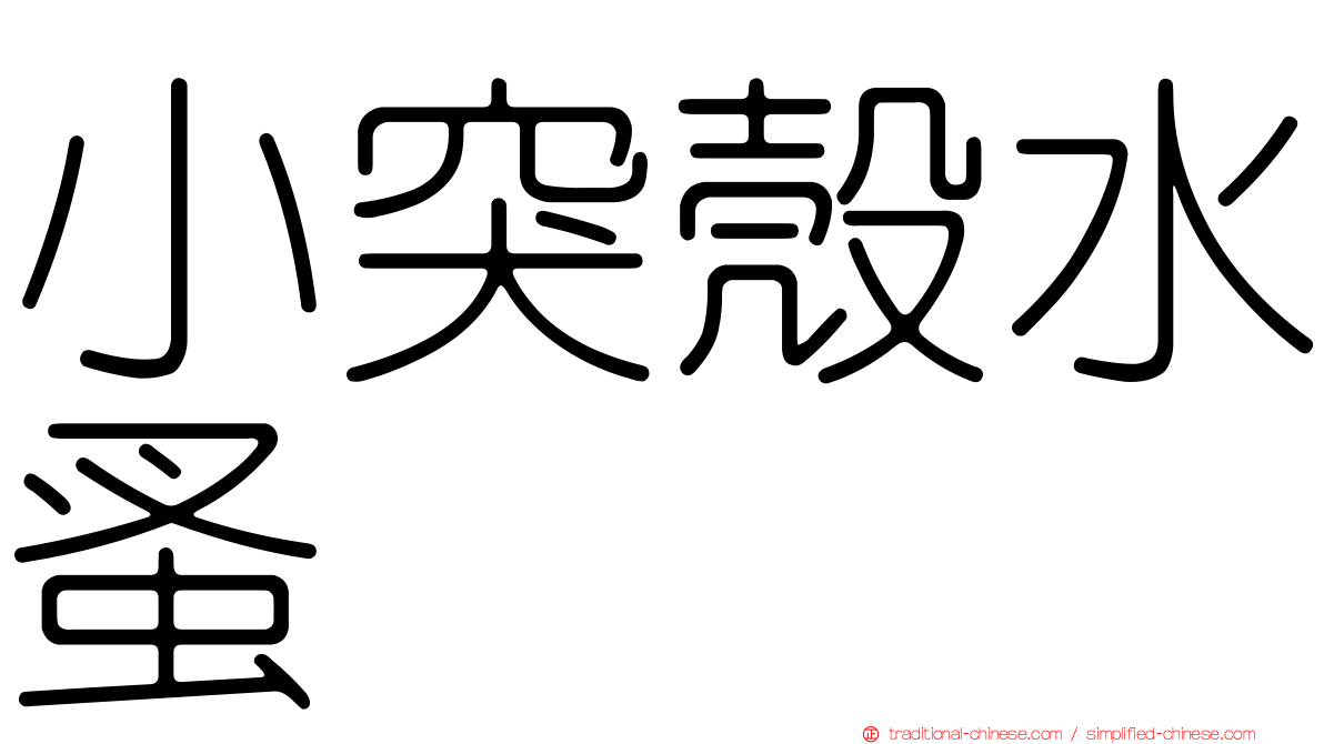 小突殼水蚤