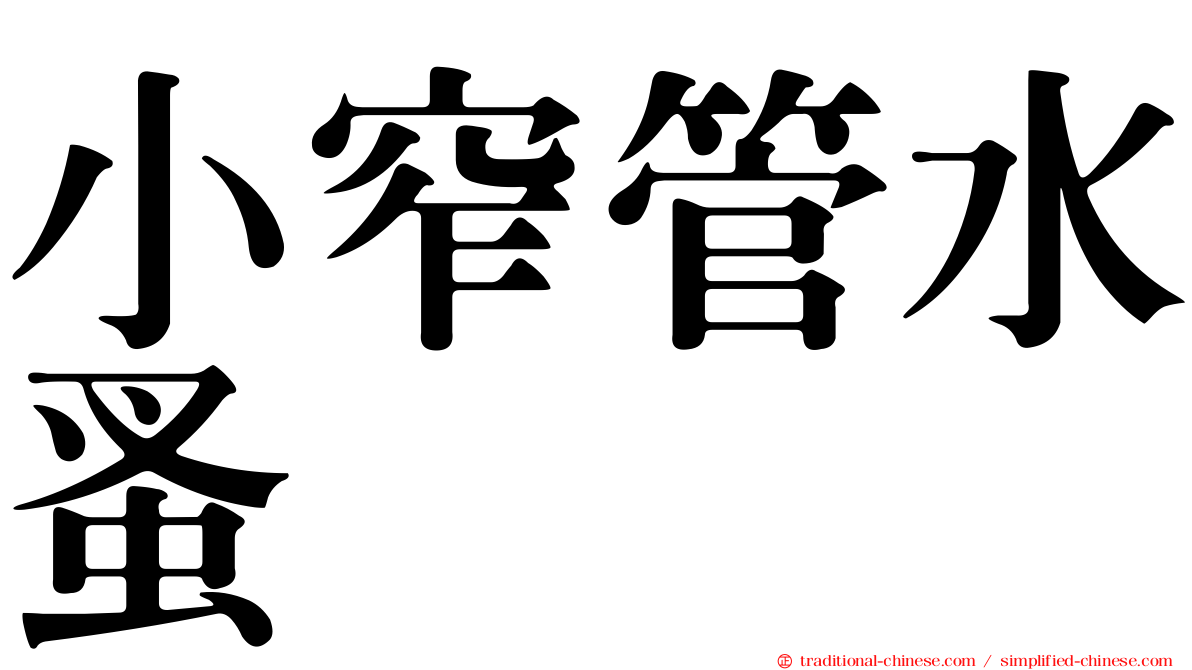 小窄管水蚤