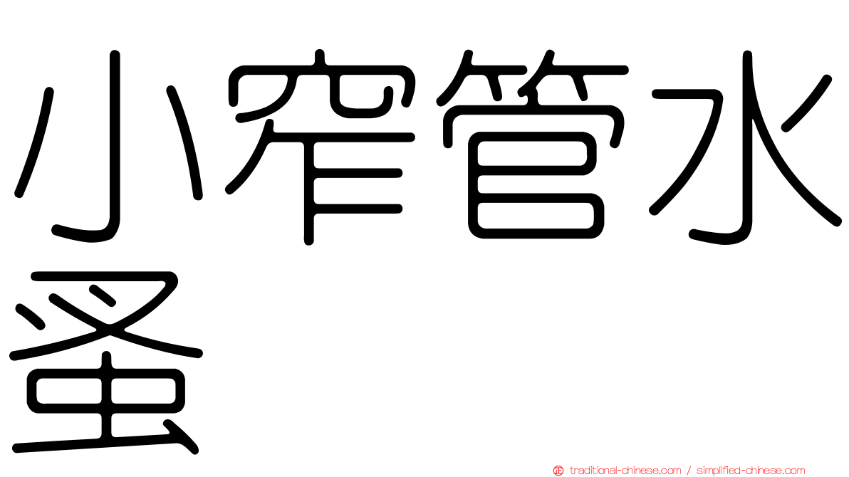 小窄管水蚤