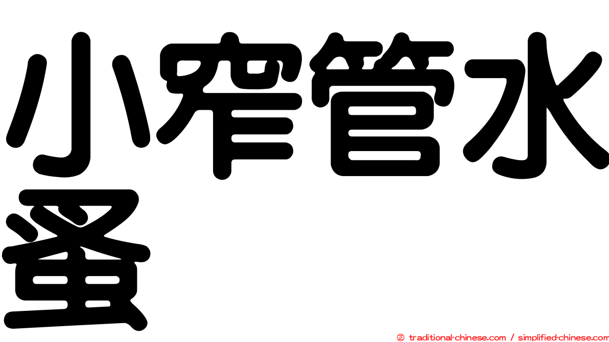 小窄管水蚤