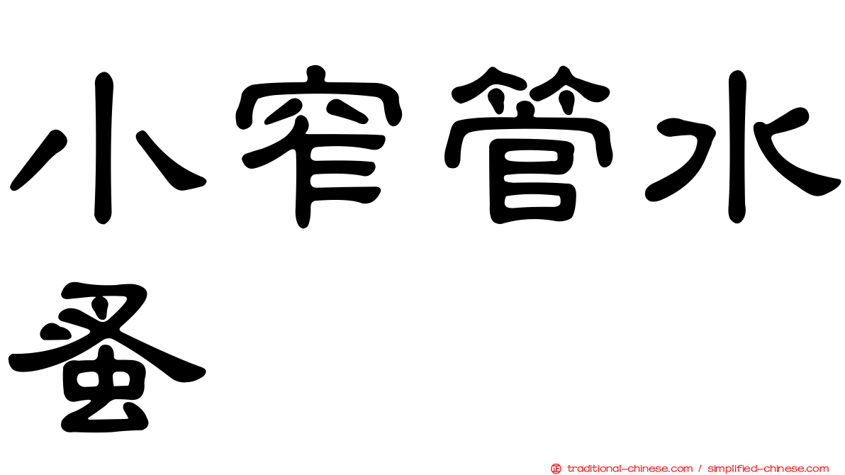 小窄管水蚤